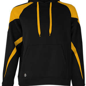 229546 Colorblock Hoodie